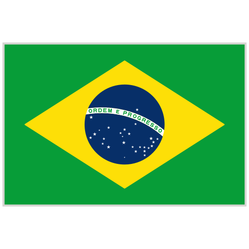 Brazil's flag